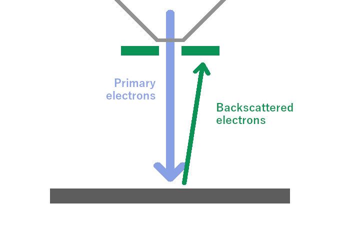 Back-scattered electrons in the scanning electron microscope